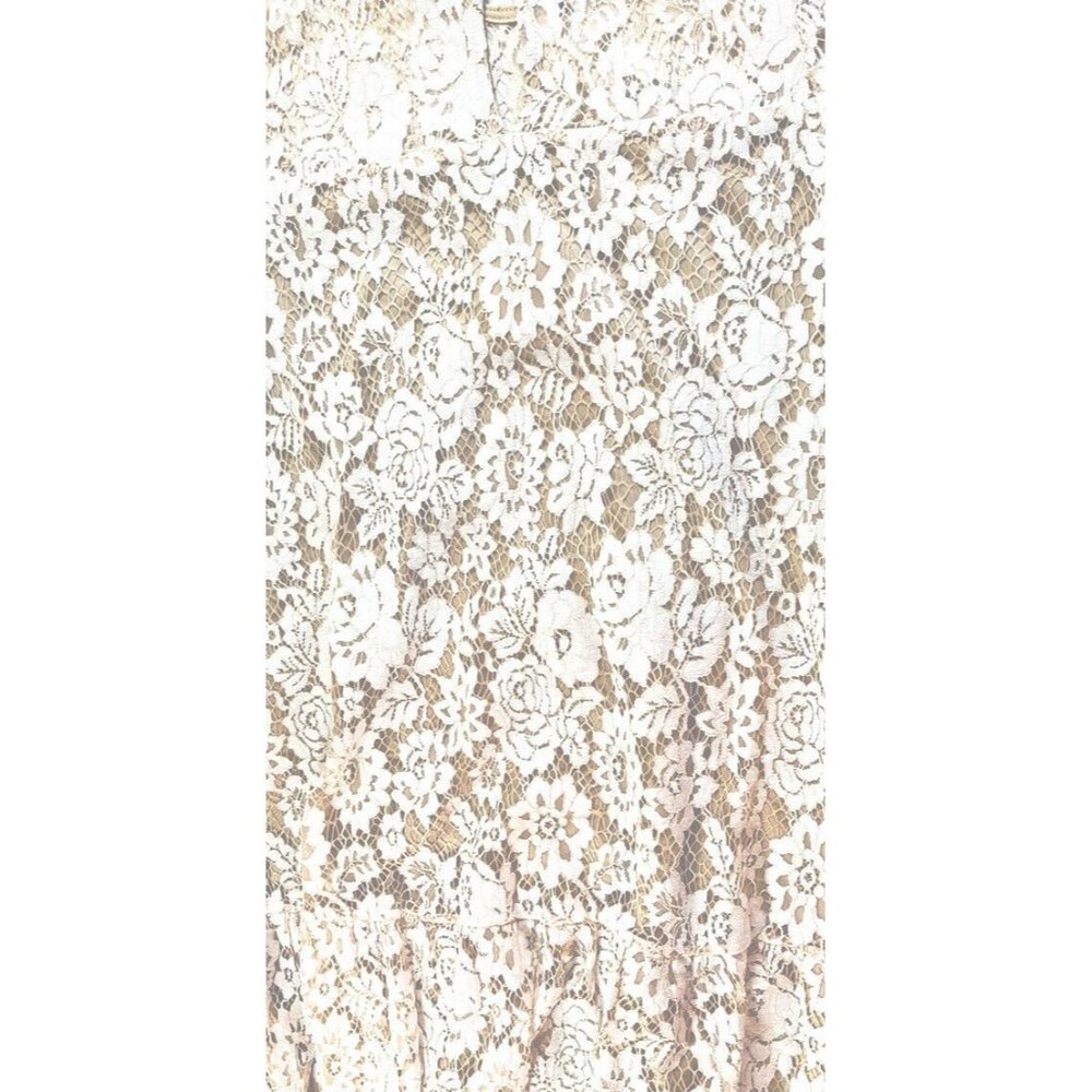 Francesca's Lace Dress Ladies XXS Ivory with floral insert lined NWT - Picture 6 of 11